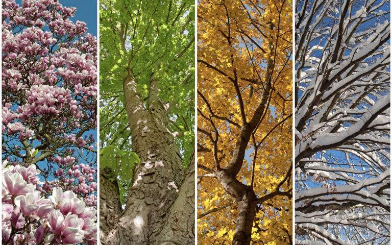 A Year of Self-Care Practices to Help You Grow